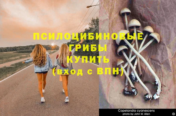 кокаин колумбия Осташков