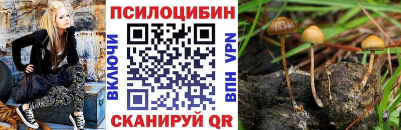 Галлюциногенные грибы Magic Shrooms  закладка  Орёл 